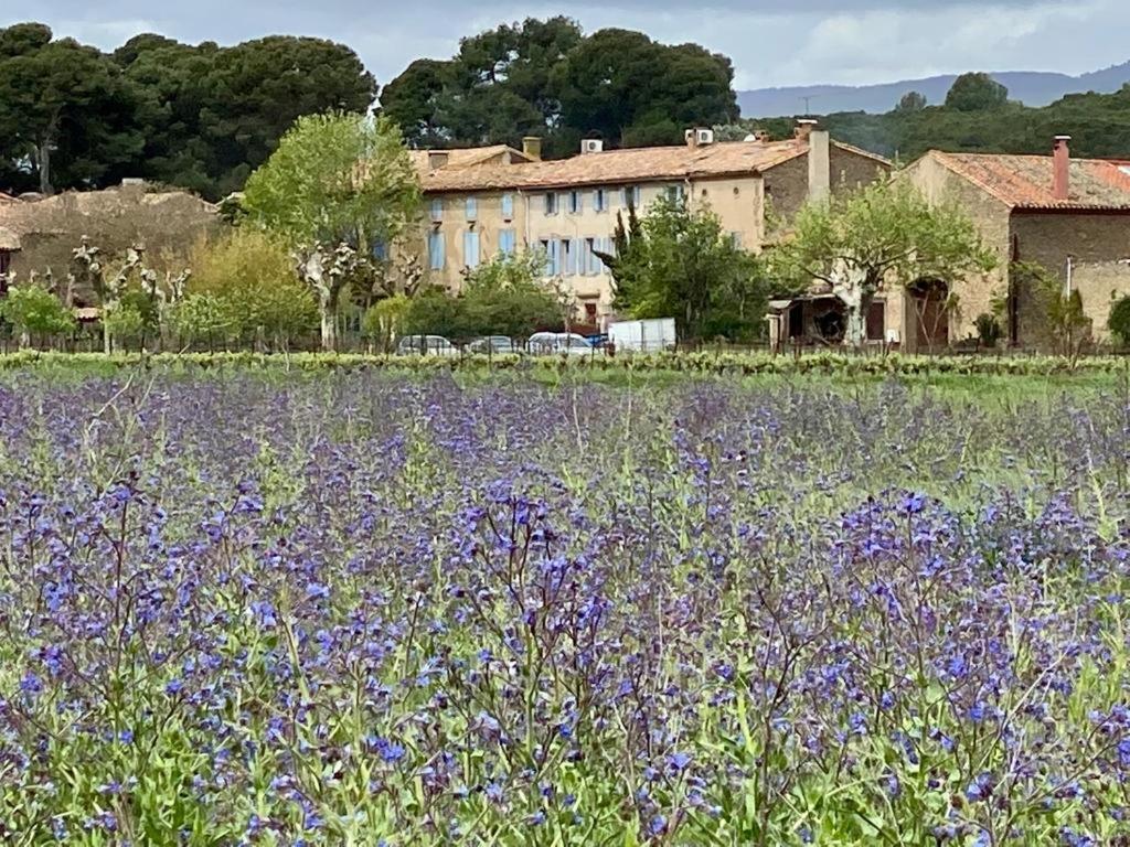 Bed and Breakfast Le Relais D'Affiac Peyriac-Minervois Zewnętrze zdjęcie