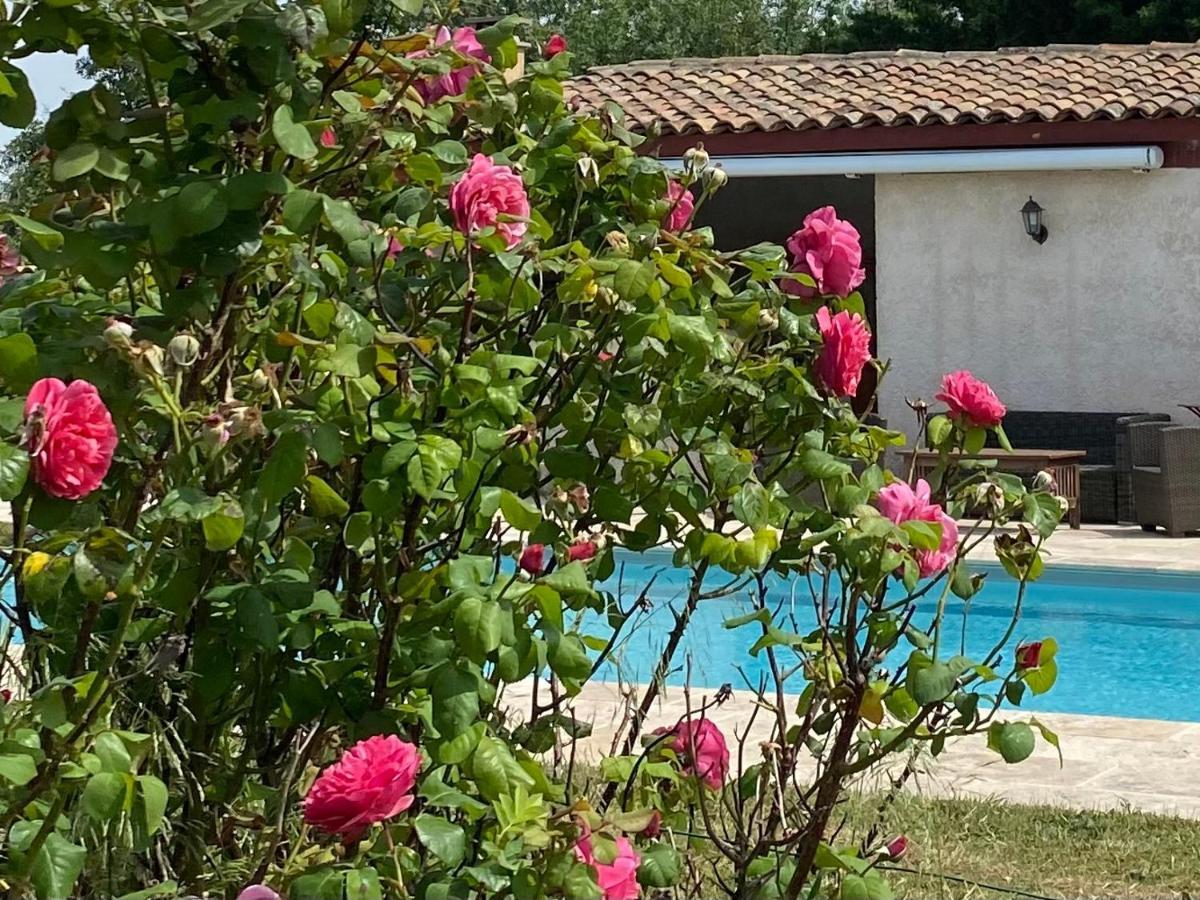 Bed and Breakfast Le Relais D'Affiac Peyriac-Minervois Zewnętrze zdjęcie